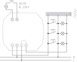 ELPA 041